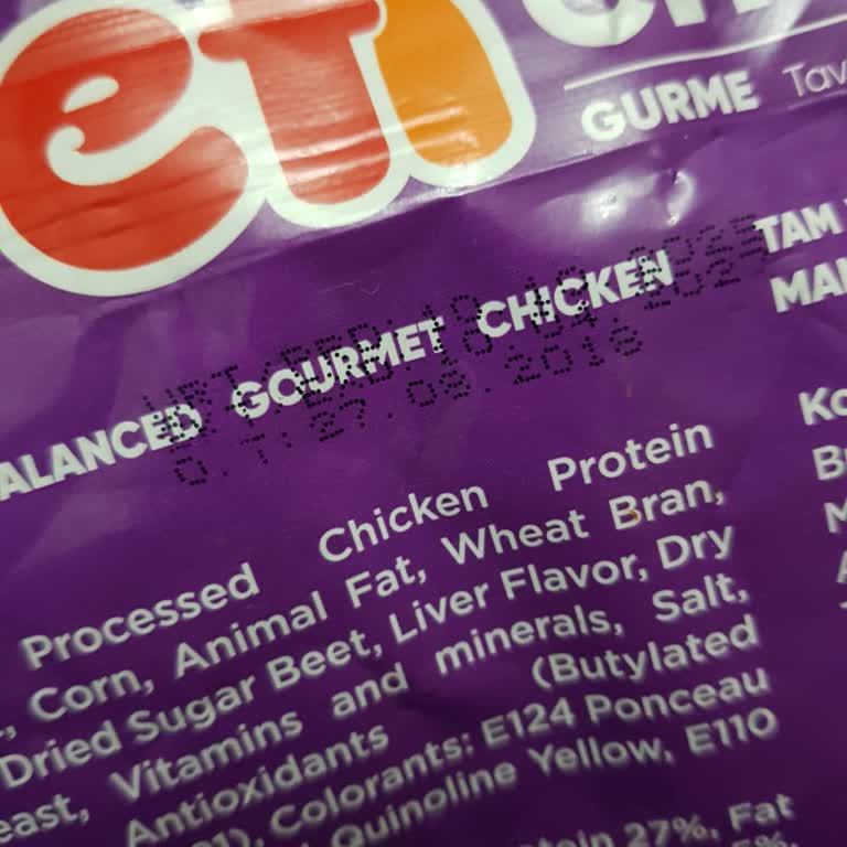 BİM Kedilerde Gıda Zehirlenmesi Ve Ölüm