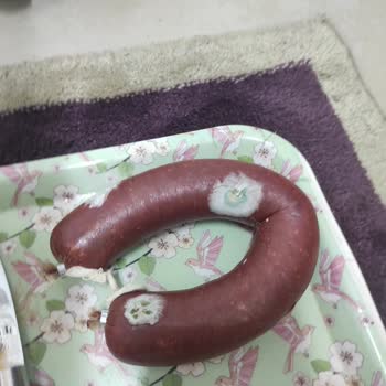 Maret Boncuk Sucuğu Küflenmiş: Carrefour SA’da Hijyen Ve Raf Kontrolü Sorunu