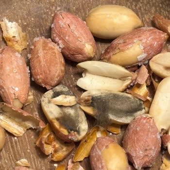 Simbat Kuruyemiş Küflü Yer Fıstığı Çocuğumun Sağlığını Tehdit Ediyor!