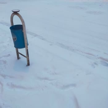 Kars DHL Şubesinde Çalışanın Hakaretli Tutumu Ve Teslimat Sorunu