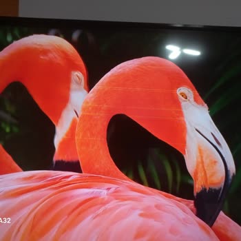 Beko Televizyonunda Kısa Sürede Yatay Çizgiler Ve Garanti Kapsamı Dışı Sorun