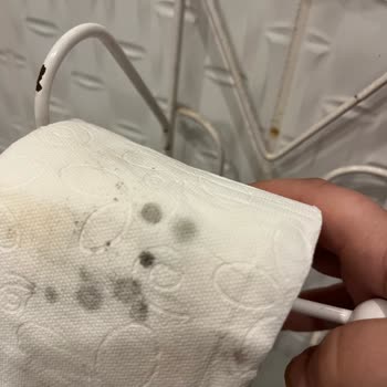 Solo Tuvalet Kağıdında Küf Sorunu Sağlık Endişesi Ve Acil İnceleme Talebi