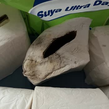 Solo Tuvalet Kağıdında Küf Sorunu Sağlık Endişesi Ve Acil İnceleme Talebi