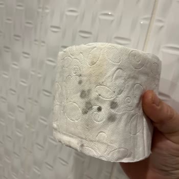 Solo Tuvalet Kağıdında Küf Sorunu Sağlık Endişesi Ve Acil İnceleme Talebi