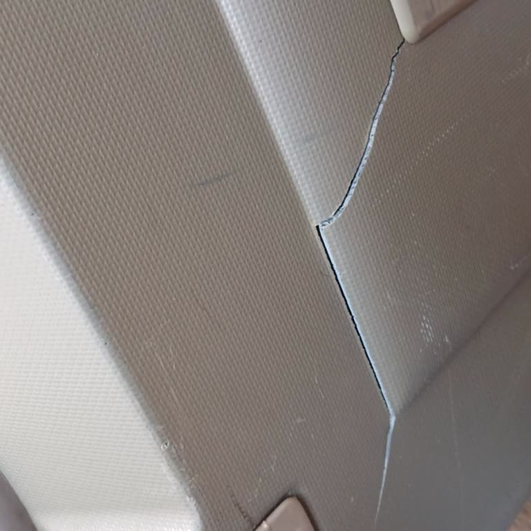 THY Valizime Zarar Vermiş