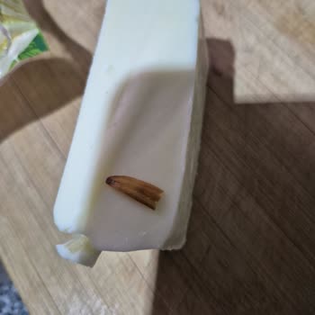 Migros’ta Torku Kaşar Peynirinde Çekirdek Kabuğu: Gıda Güvenliği Şikayeti