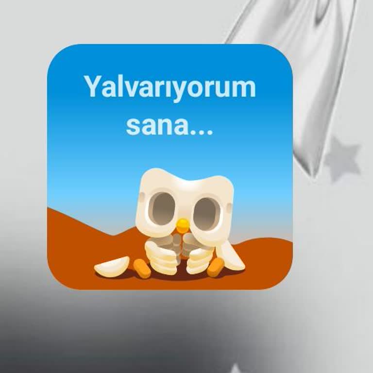 Duolingo Widget’ındaki Üzgün Görselin Kaldırılmasını İstiyorum