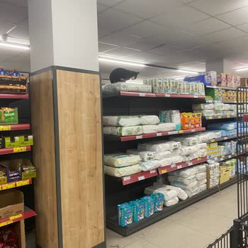 A101 Alibeyköy Şubesinde Kedilerin Ürün Üzerinde Yatması Hijyen Sorunu