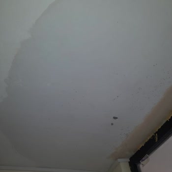 Armut.com'da Garanti Şartnamesi Ve Su Kaçağı Çözülmedi, Ücret İadesi Talebi