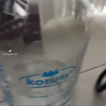 Korusu Cam Damacana İçinde Böcek