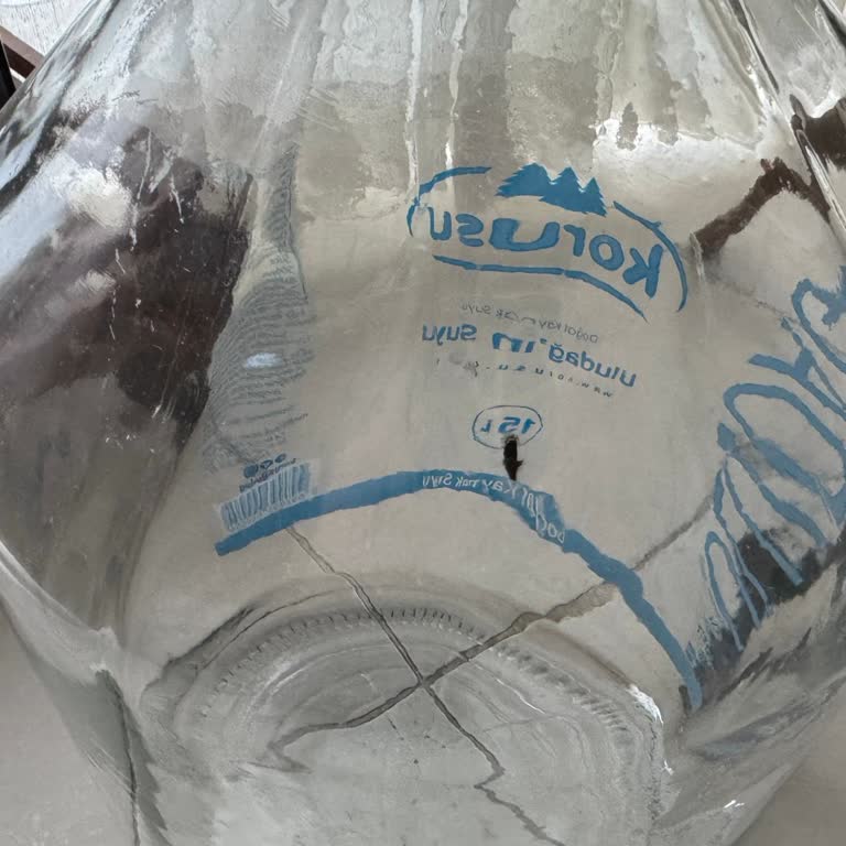 Korusu Cam Damacana İçinde Böcek