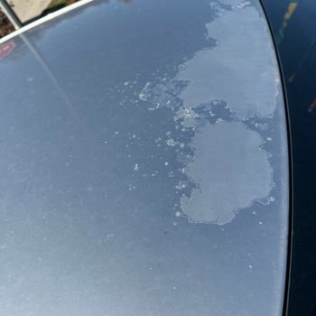 Toyota Corolla 2009 Tavan Vernik Atması İçin Çözüm Talebi