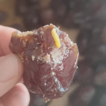 Hurmalarda Kurtlar Ve Bozuk Ürün İçin Firma Yanıtsızlığı