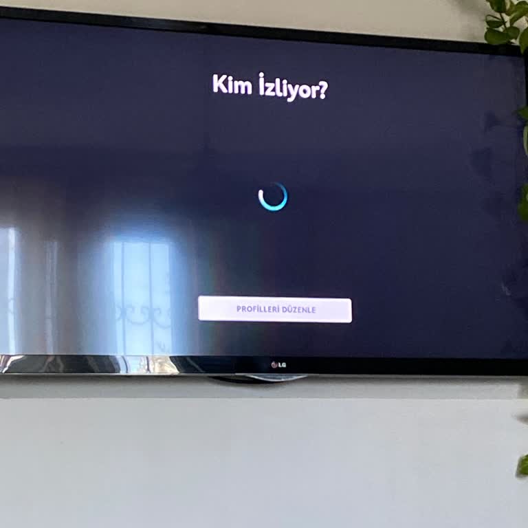 LG Televizyonda Disney+ Uygulaması Açılmıyor