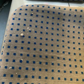 İETT Otobüsünde Sigara Kokusu Ve Kötü Temizlik, Müşteri Temsilcisinin Tepkisi Kabul Edilemez