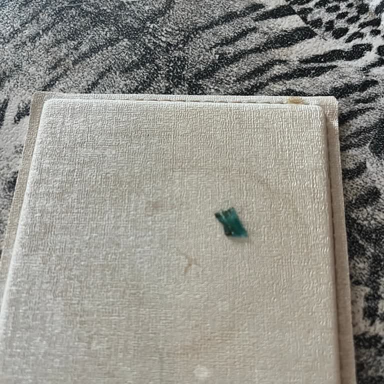 Türk Kahvesinde Yeşil Plastik Parça Bulması Sağlık Ve Hijyen Güvenini Sarsıyor