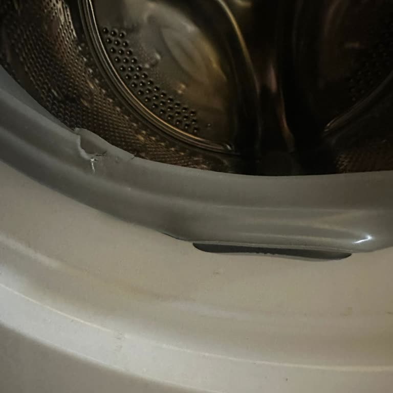 Hoover Çamaşır Makinesinde Garanti Kapsamı Dışı Kullanıcı Hatası İddiası