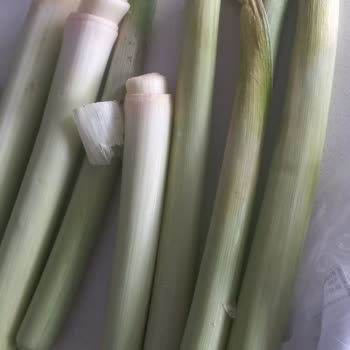 Kötü Kaliteli Çürük Sebzeler İçin İade Talebi