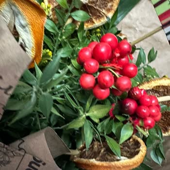 Canlı Kokina Gönderilmedi, Yanlış Telafi Çiçeği Gönderildi: Tam İade Talebi