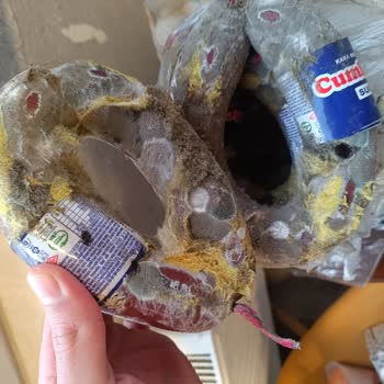 Mavibahçe Macrocenter'dan Küflü Sucuk Ve Cevapsız Şikayet