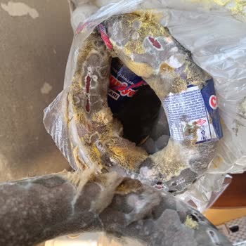 Mavibahçe Macrocenter'dan Küflü Sucuk Ve Cevapsız Şikayet