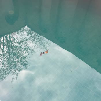 Sabel Villas Soğuk Ve Kirli Havuz, Eksik Banyo Ürünleri Ve Aşırı Ücret