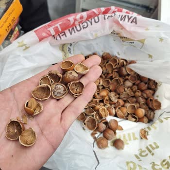 Küflü Fındıkların İadesinde Tam Geri Ödeme Reddedildi