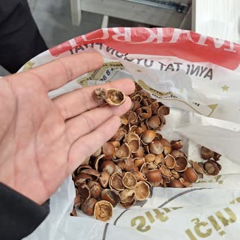 Küflü Fındıkların İadesinde Tam Geri Ödeme Reddedildi