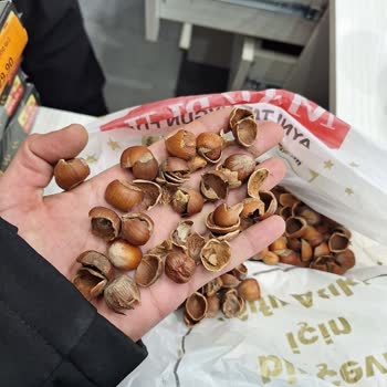 Küflü Fındıkların İadesinde Tam Geri Ödeme Reddedildi