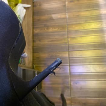 Defolu Ürün Tekrar Geldi Ve Yorumum Reddedildi