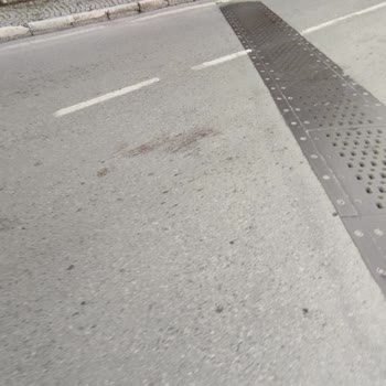 ESHOT Otobüsü Hayvanı Ezerek Durmadan Geçti Ve İdari İşlem Talep Ediliyor