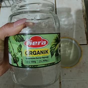 Sera Organik Asma Yapraklar Kötü Çıktı