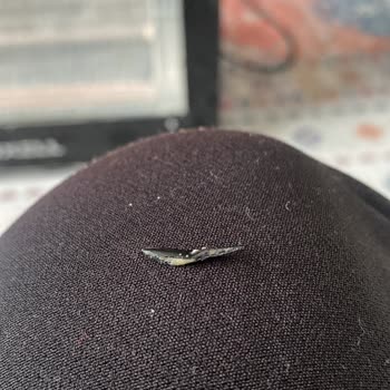 Ülker Muzlu Rulo Pastada Keskin Siyah Yabancı Madde Bulundu