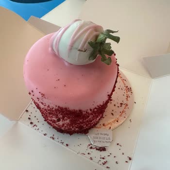 Sivrisinekli Pasta Şikayeti Ve Ücret İadesi Talebi