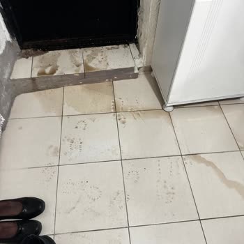 Yaşlı Kadının Evin Önündeki Kazılı Yol Ve Su Hasarı İçin Hızlı Düzeltme Talebi