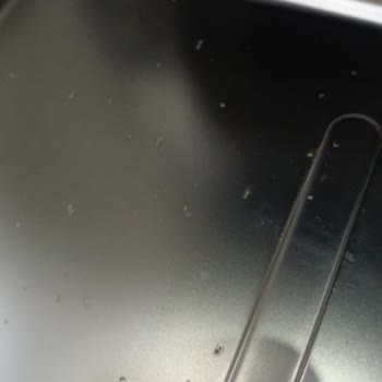 5 Aylık Bulaşık Makinesinde Paslanma Ve Garanti Kapsamında Ücretsiz Onarım Talebi