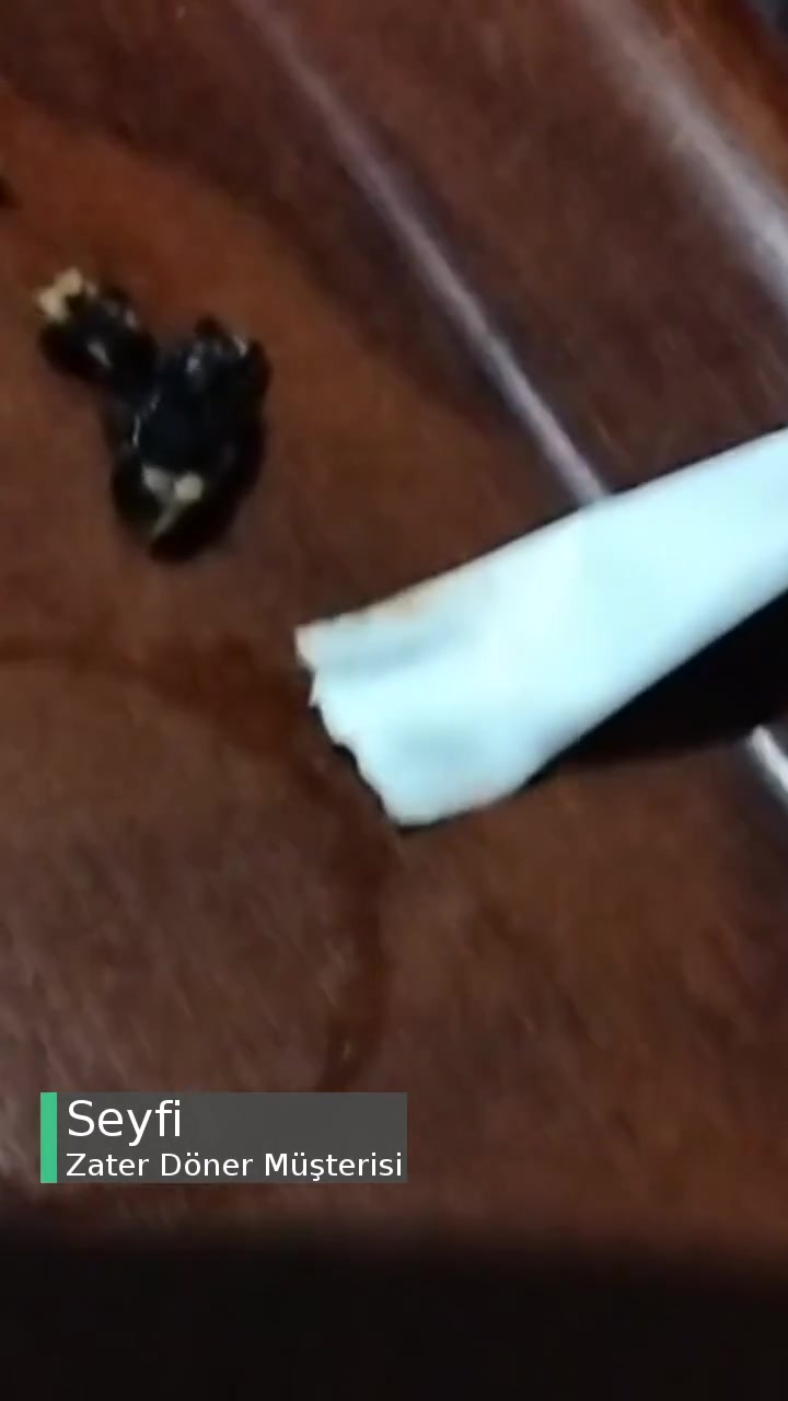 Zater Döner Yanık Tavuk Eti videonun kapak resmi