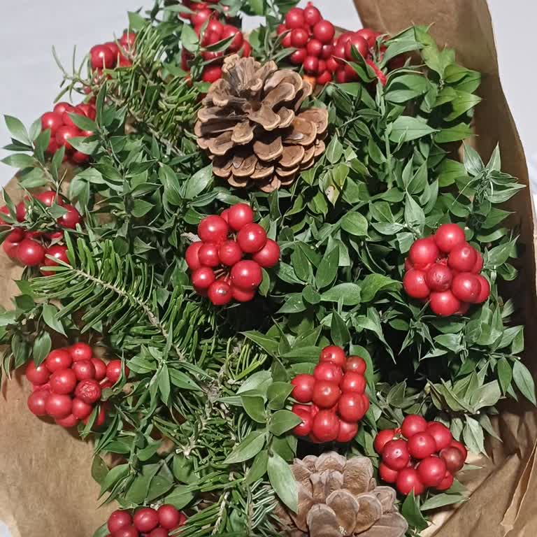 Görseldeki Kokina Çiçeği Gönderilmedi Ücret İade Talebi