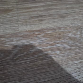 Roborock Qrevo Su Kaçırma Sorunu Çözülmedi, Ücret İadesi Talebi!