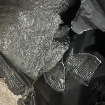 Kırık Borosilikat Ürün Ve Eksik Petek Suluğu İçin Tam İade Talebi