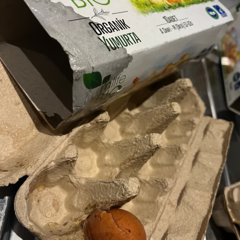 Kırık Yumurtalar Tekrarlayan Teslimat Sorunu