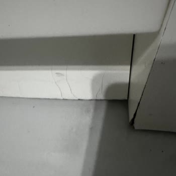 Tekrar Eden Su Kaçağı Ve Cevapsız Servis: Vestel Bulaşık Makinesi Mağduriyeti