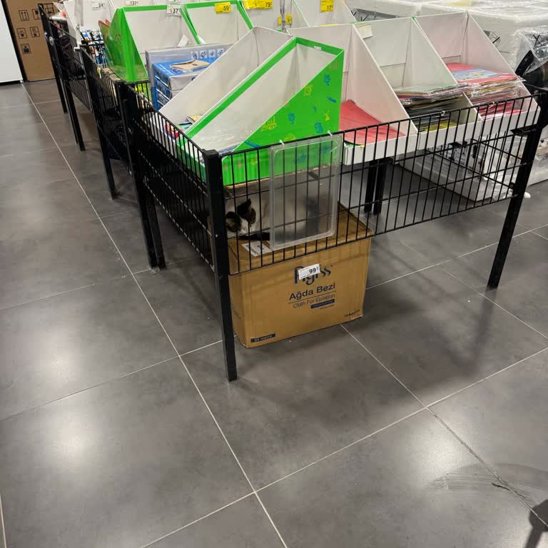 Carrefour Kuşadası Mağazasında Hijyen İhlali Ve Kedilerin Varlığı