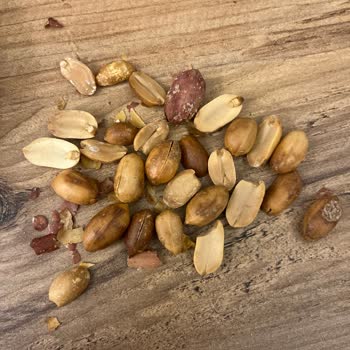 BİM Çırpan Mahallesi Şubesinde Bozulmuş Tuzlu Fıstık