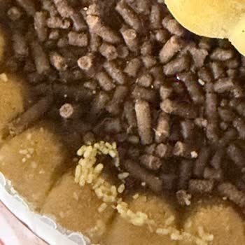 Eti Cin'den Kurt Çıktı!