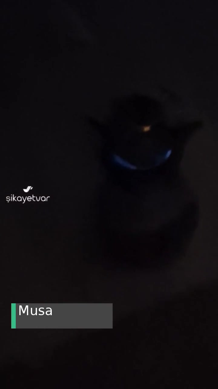 Gediz Elektrik Perakende Çözülmeyen Elektrik Sorunu! videonun kapak resmi