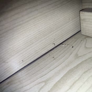 İstikbal Malatya Mağazasındaki Koltukların Renk Ve Hijyen Sorunu Nedeniyle Tam İade Talebi