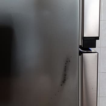 Beko Buzdolabının Dış Yüzeyindeki Pas Lekesi Ve Çözüm Talebi