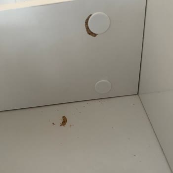 Lia Gardırop Montaj Hataları Ve Cevapsız Servis