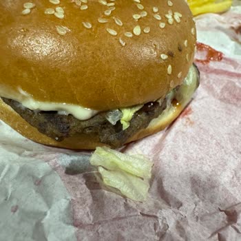 Geç Teslim, Soğuk Ve Yanlış Sipariş, İade Talebi